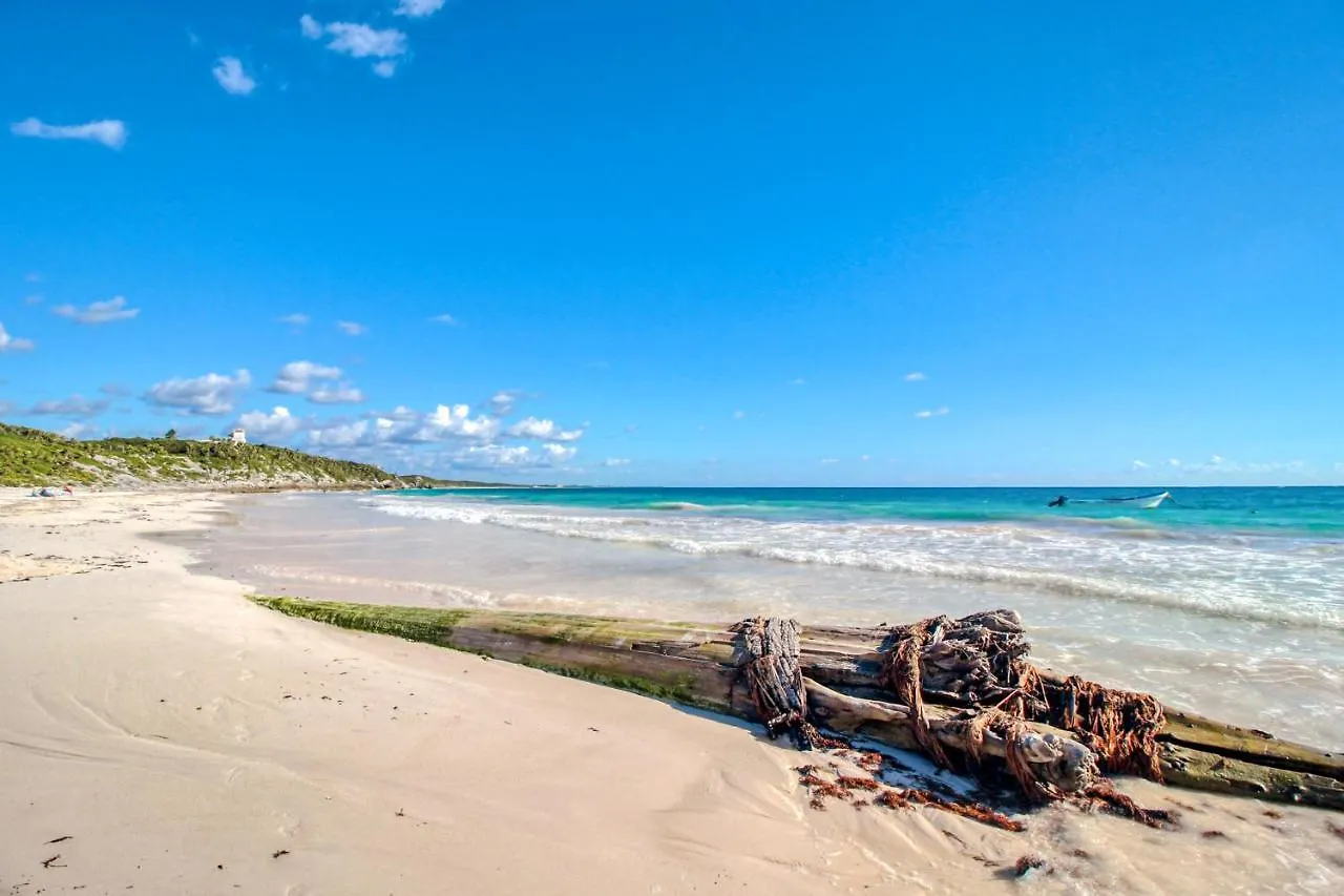 Amena Apartment Tulum